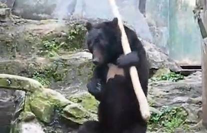 Japan: Medo u zoološkom vrtu vježba kung fu poteze