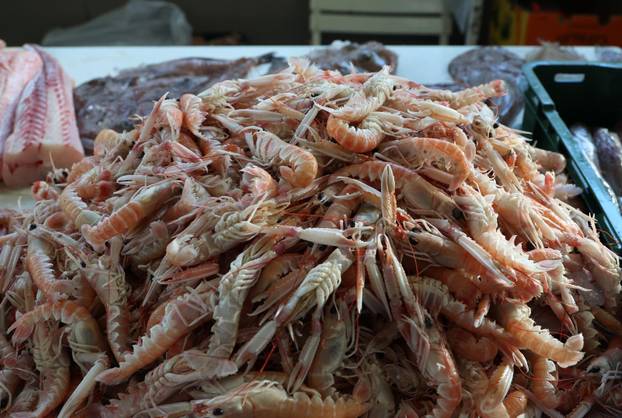 Šibenik: Ponuda na šibenskoj ribarnici