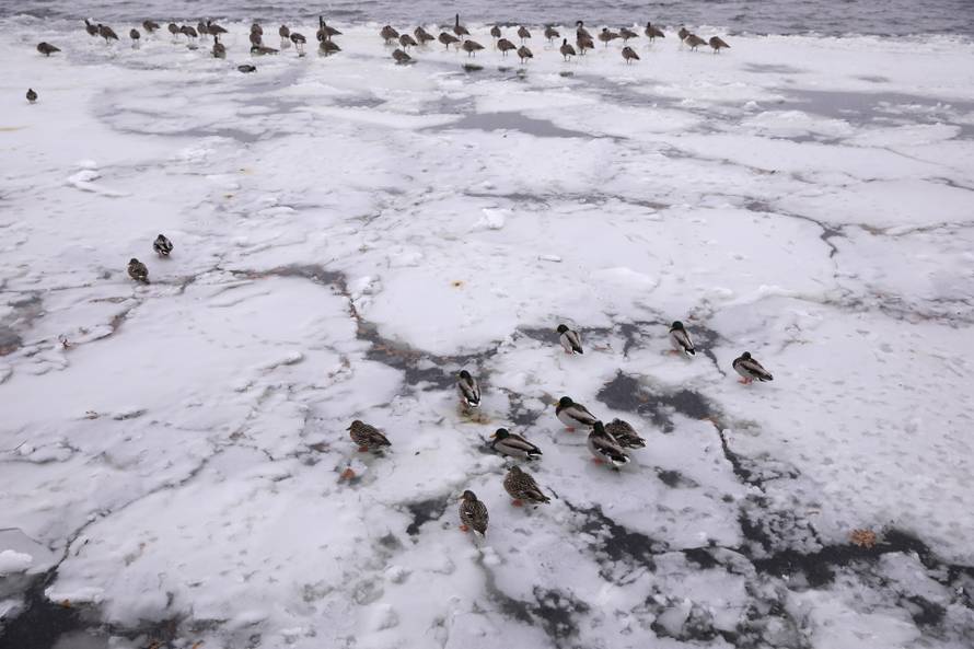 A snowstorm hits New York during the coronavirus disease (COVID-19) pandemic