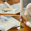 Papinske isprave  iz 12. i 13. st. otuđene iz dubrovačkog arhiva  napokon su vraćene  Hrvatskoj