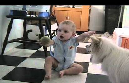 Smijeh do suza: Pogledajte kako pas uči malu bebu da ....