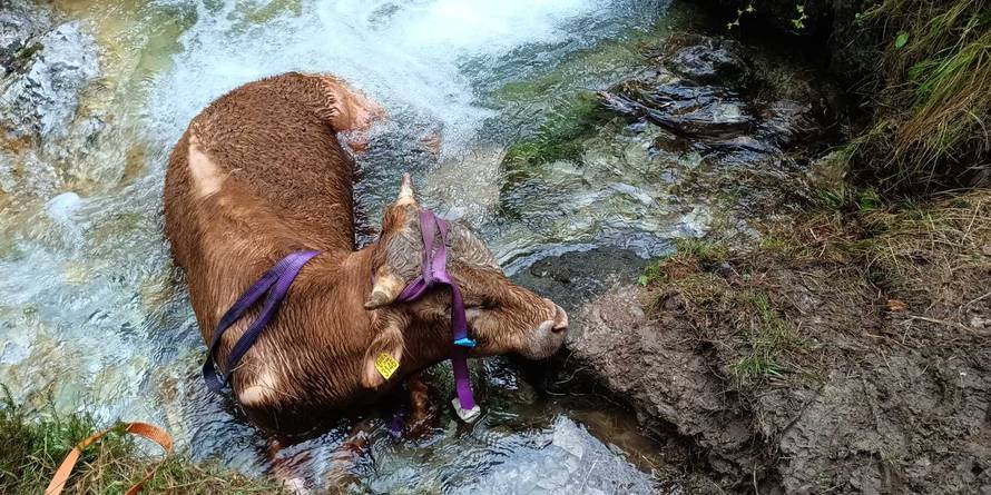 VIDEO Bik u Sloveniji upao u potok: 'Spašavala ga je gorska služba, izvlačio ga helikopter'