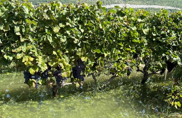 Vrgorac: Posljedice obilnih kiša na području općine Pojezere