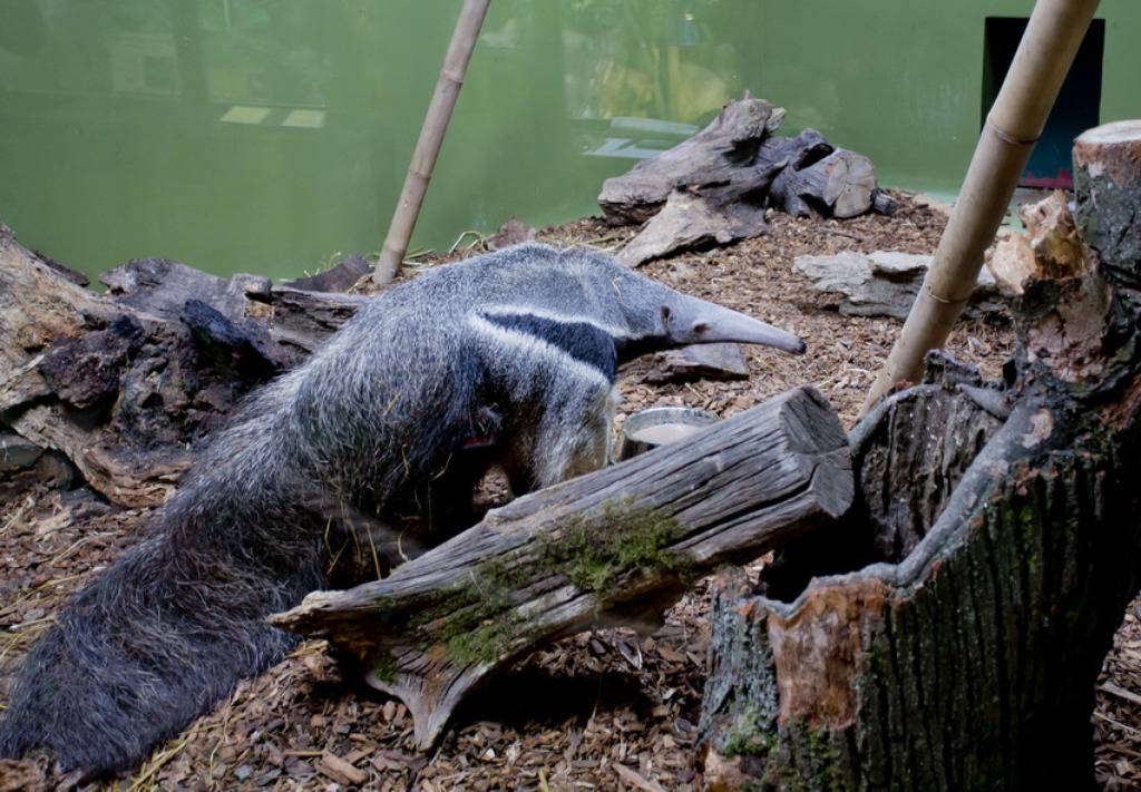 Zoo Zagreb