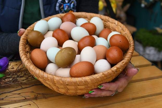 Neobične kokoši u Zvijercima kod Bjelovara nesu jaja u raznim bojama
