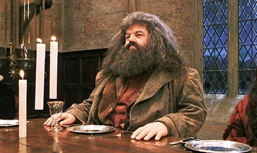 Hagrid ga je proslavio, povukao se iz javnosti i osamio, a po ovim ulogama ćemo ga pamtiti