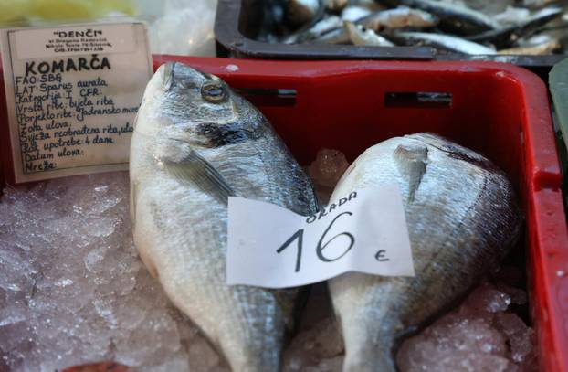 Šibenik: Ponuda ribe u šibenskoj ribarnici