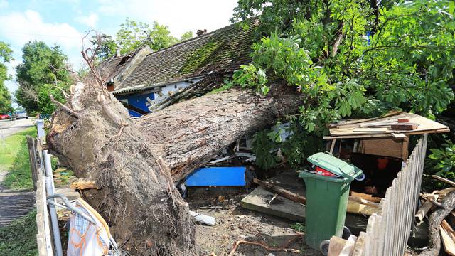 Armagedon u Slavoniji: Golemo drvo im u oluji prepolovilo dom