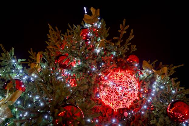 Zadar: Noćne fotografije ukrašenog grada