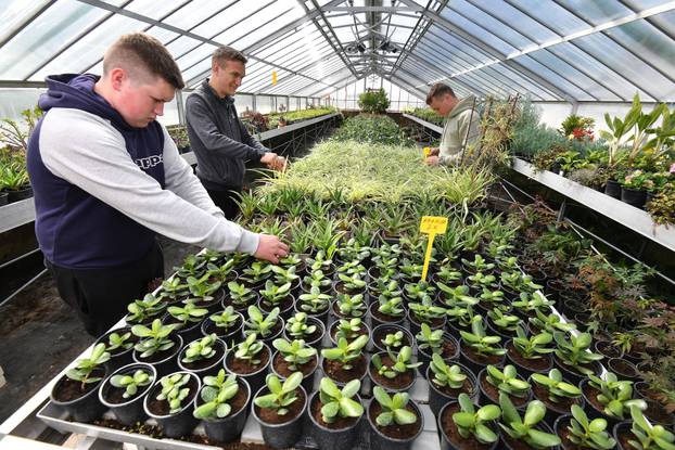 Vinica: Srednja škola "Arboretum Opeka"