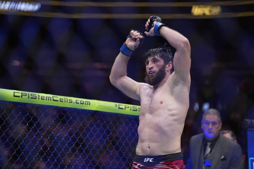 UFC 313 Mixed Martial Arts