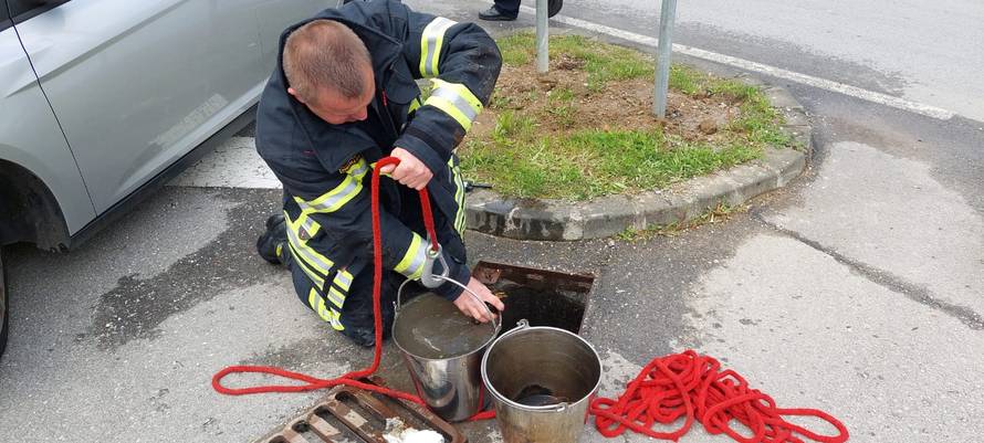VIDEO: Krapinski vatrogasci spasili pačiće: Pustili smo ih kraj rijeke, mama ih je dočekala