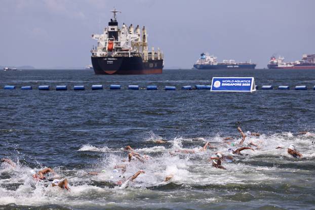 World Aquatics Championships
