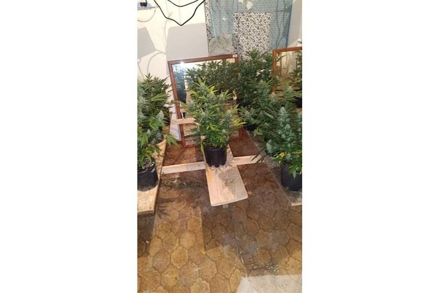 FOTO Policija na području Liburnije otkrila labortaorij za travu: Pronašli i novac, vage...