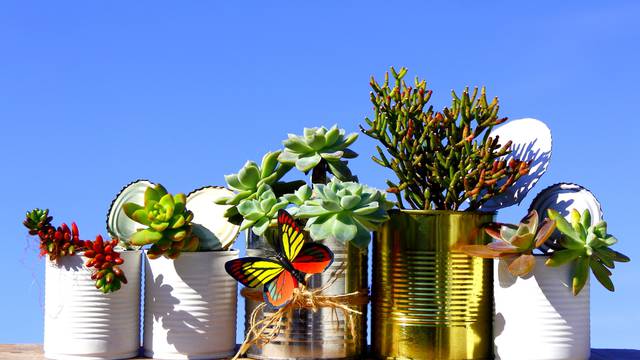 Group,Of,Recycled,Cans.,Five,Lined,Recycled,Cans,With,Various