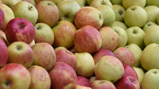 Previše pesticida: Povlače se jabuke Clever i Moslavina voće