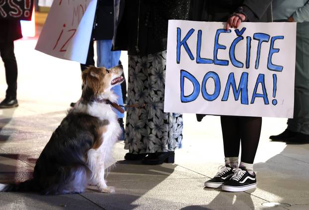 U Šibeniku održan no?ni marš - Feminizam nema granica