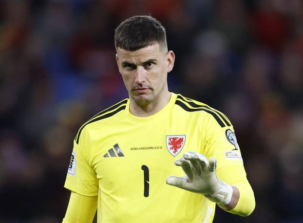 FIFA World Cup - UEFA Qualifiers - Semi Final - Wales v Bosnia and Herzegovina