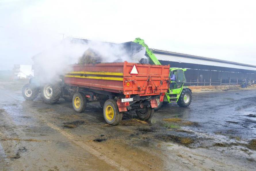 Goran Fabrežar/PIXSELL