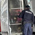 Suludo! Prosvjedovale su pred ministarstvom, doveli su ih u marici: To mogu biti i vaša djeca