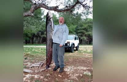 Kakav ulov! Ribič na Vranskom jezeru ulovio soma kapitalca. Dug je 2 metra i težak čak 60 kg