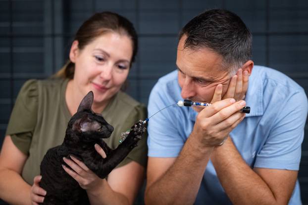 Zagreb: Drugi dan Međunarodne izložbe mačaka
