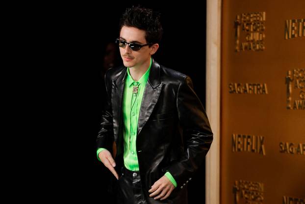 31st Screen Actors Guild Awards, in Los Angeles