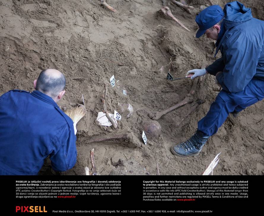 Grgo Jelavić/PIXSELL