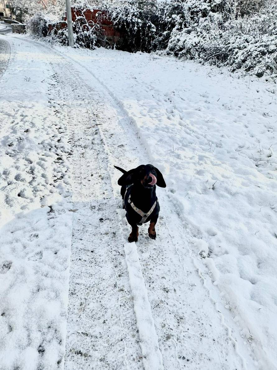 Općinska komunalka sama 'izlopatala' snijeg sa staze: 'Nema nikakve drame u tome'