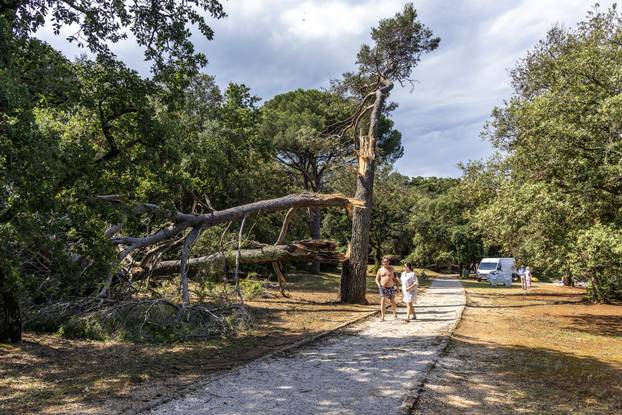 Posljedice nevremena koje je jučer zahvatilo Rovinj