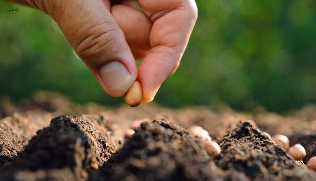 FOTO Pripremaju se za kolaps civilizacije i(li) smak svijeta: 'Ove stvari svi moraju imati...'