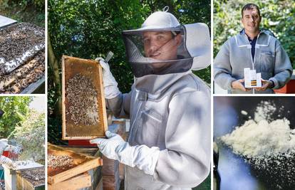 'Za moje kreme od pčelinjeg otrova  radi 10 milijuna pčela'