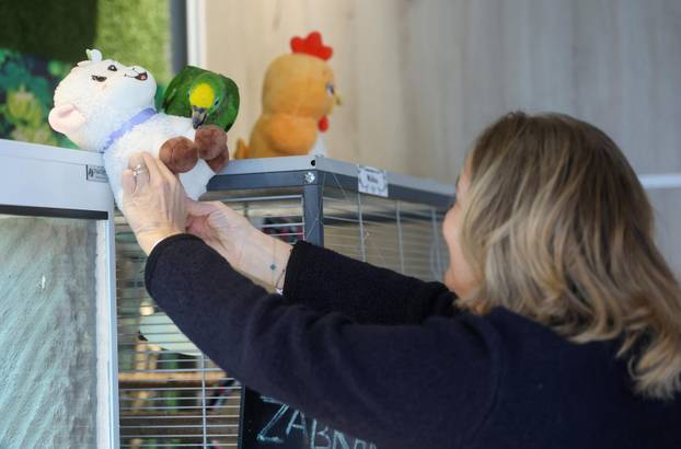 Zagreb: Emilija i Amer Alaydi otvorili su kafić Animal caffe