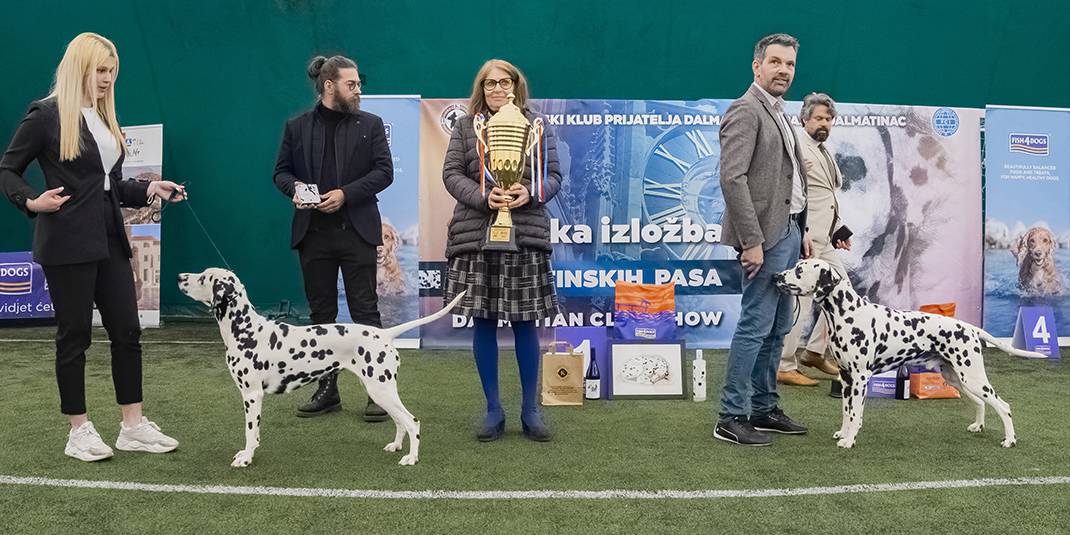 Na fešti dalmatinskih pasa ta je naša pasmina dobila svoje likere, čokolade, čak i vina!