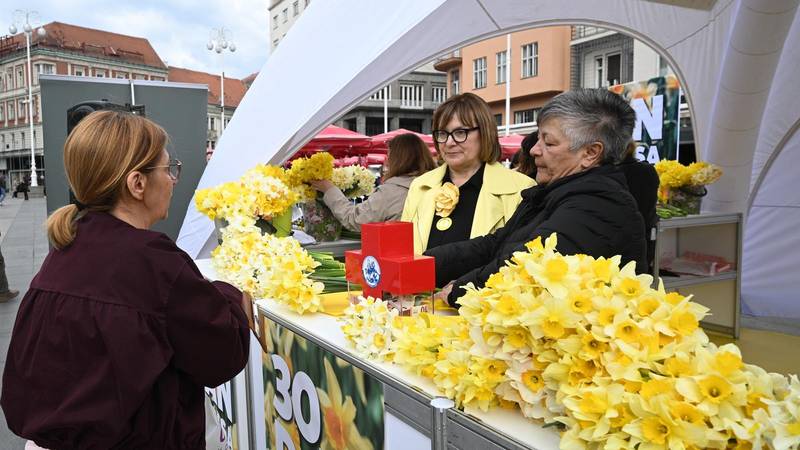 FOTO Dan je narcisa: Žuta boja preplavila ulice diljem Hrvatske