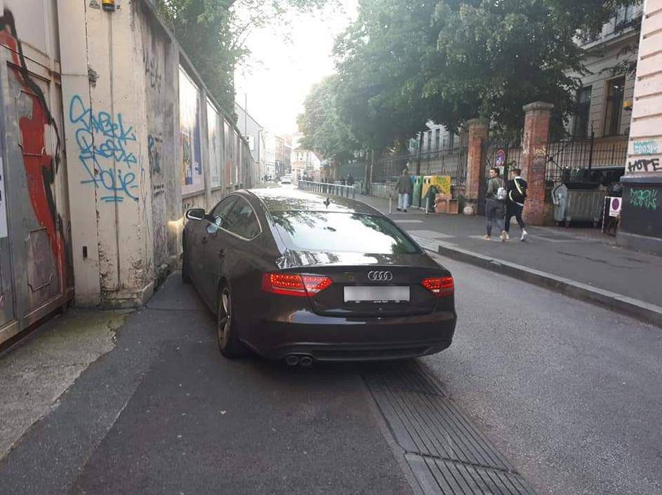 Opet po svom: Lille 'zajahala' rubnik, autom blokirala prolaz
