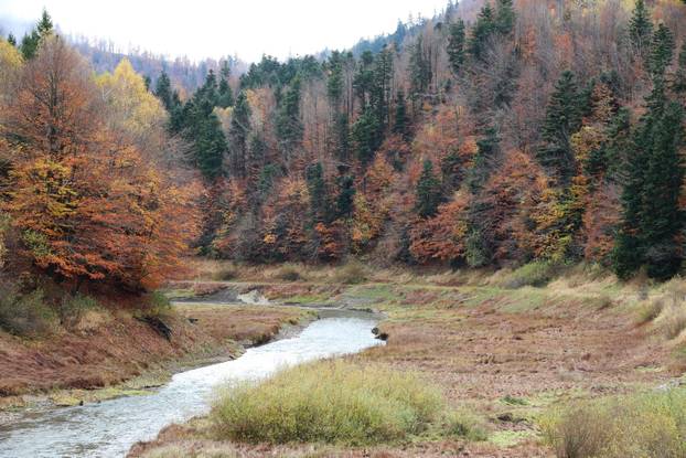 Delnice: Boje jeseni u Gorskom kotaru