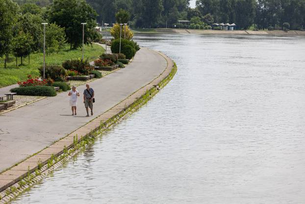 Visoki vodostaj rijeke Drave kod Osijeka