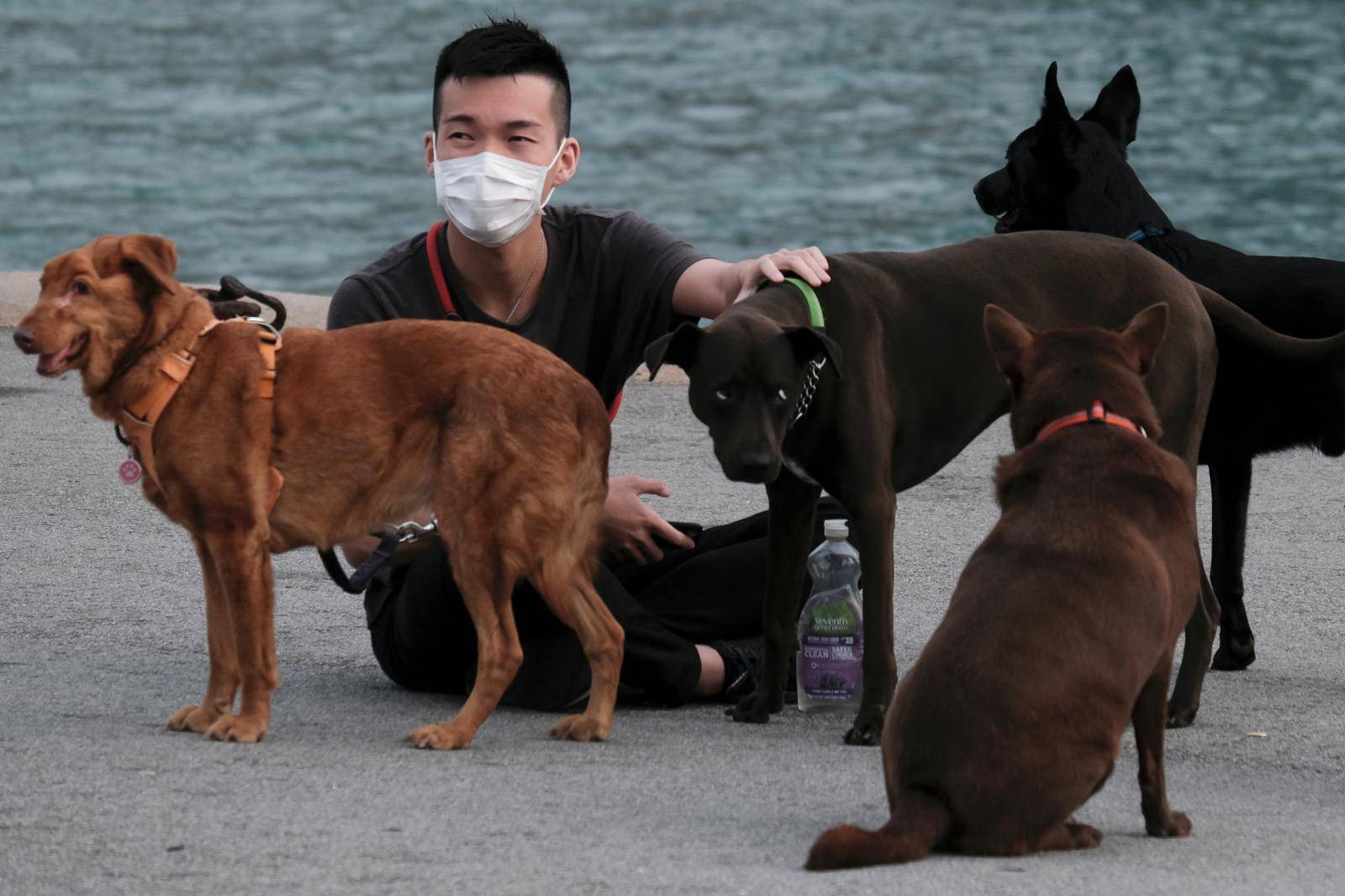 A man wears a protective face mask sitting next to his dogs, following the outbreak of the new coronavirus, in Hong Kong