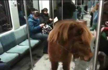 Žena berlinskom podzemnom željeznicom provozala ponija 