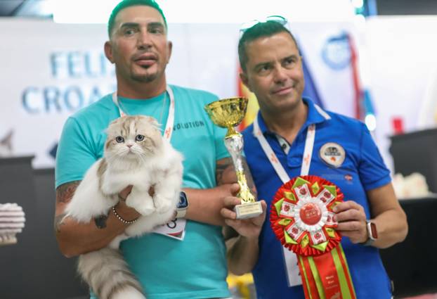 FOTO Otvorena Svjetska izložba mačaka u zagrebačkom Family Mallu! Traje i tijekom nedjelje