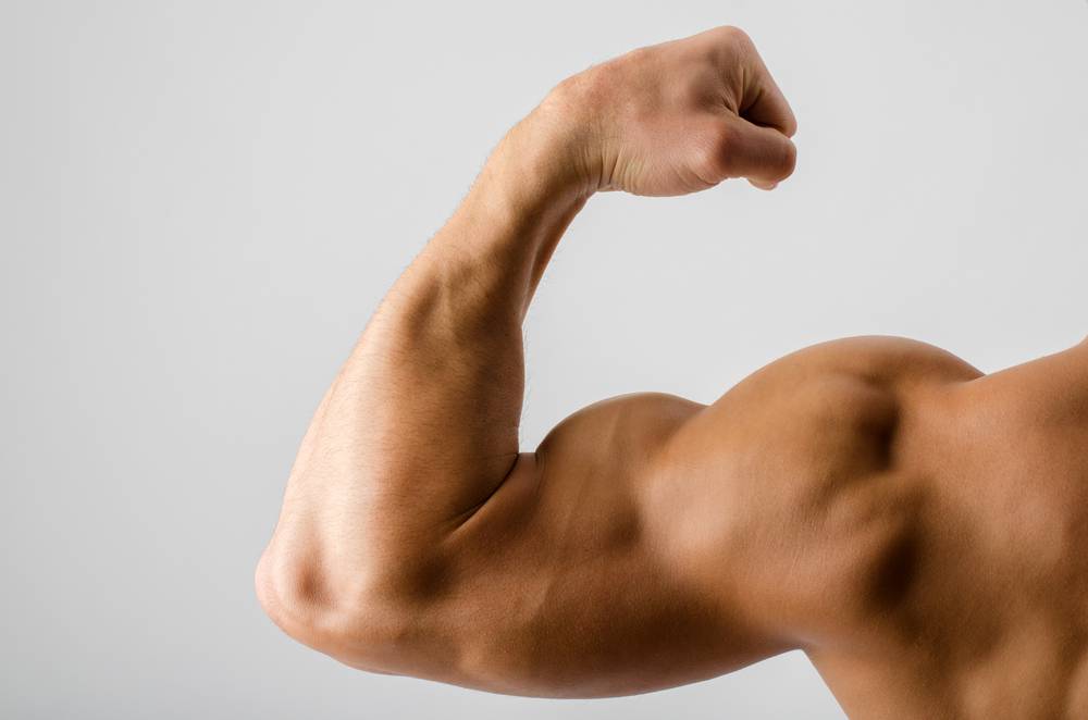 Nova formula uništava mast i gradi 10 kg mišića u 30 dana