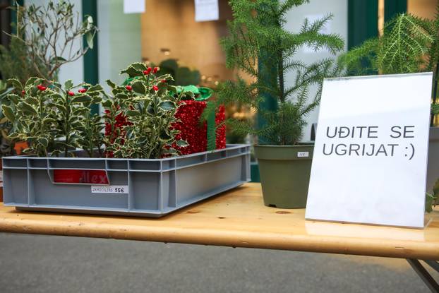 Zagreb: U Ilici je održan Q'Art festival