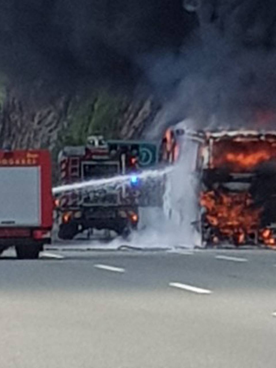 Video: Autobus je izgorio kod Rijeke, požar se širio i na šumu