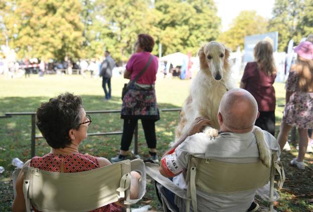 Nacionalna izložba pasa "Velika Gorica Trophy 2025"