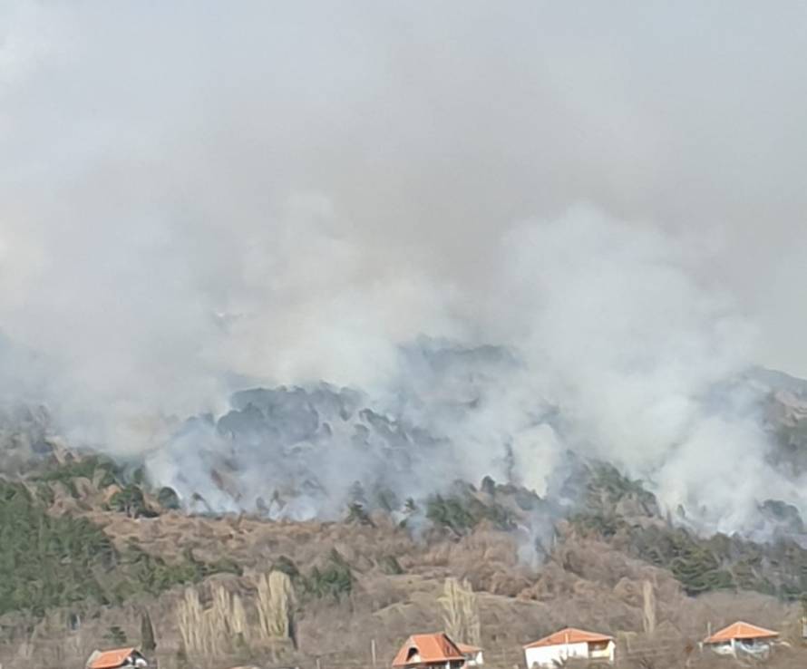 Sinj: Planula je gusta borova šuma, dim se proširio posvuda