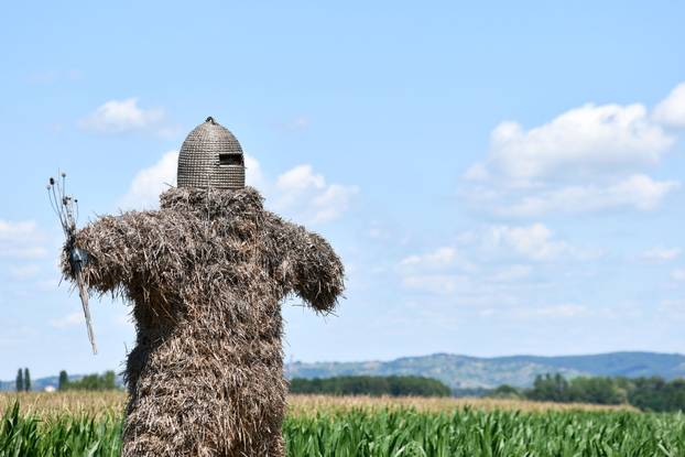 Posebni spomenici međimurskih općina