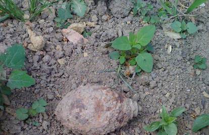 Pronašli bombu iz II. svjetskog rata u dvorištu kuće u Valpovu