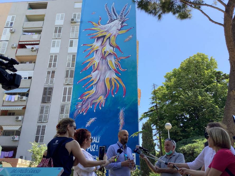 Split je dobio mural najvećeg malog morskog puža na svijetu