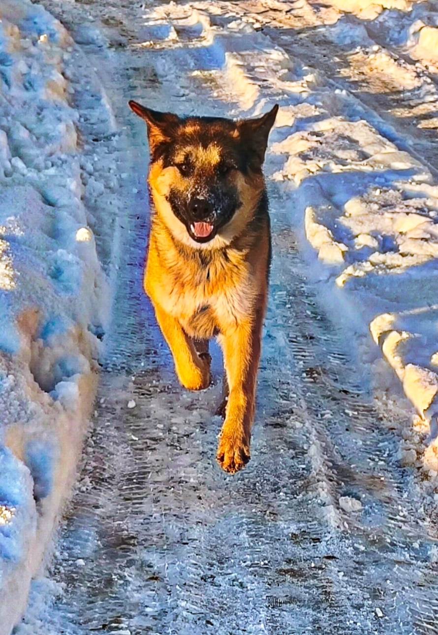 Općinska komunalka sama 'izlopatala' snijeg sa staze: 'Nema nikakve drame u tome'